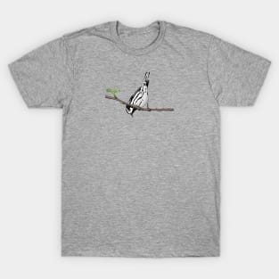 Black-and-white Warbler T-Shirt